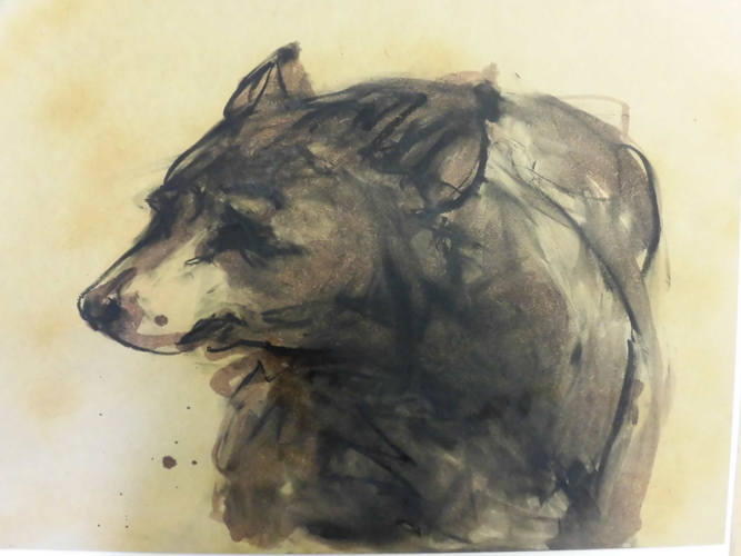 Drawings. Bear. 2014